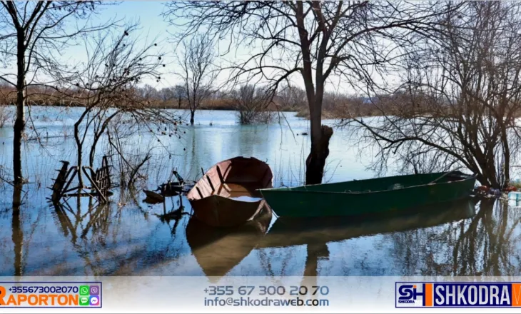 Bie niveli i ujit në Obot me 10 cm, në total sipërfaqja nën ujë në Bashkinë Shkodër është 800 ha…