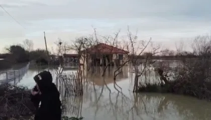 Çahet argjinatura e Semanit, përmbyten tokat bujqësore në disa fshatra të Fierit