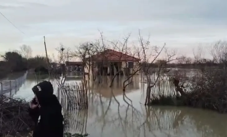 Çahet argjinatura e Semanit, përmbyten tokat bujqësore në disa fshatra të Fierit