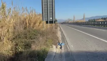 Çekiç kokës 57-vjeçarit, i dyshuari mohon vrasjen, gjykata lë në burg 3 të rinjtë