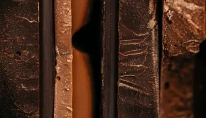 Çokollata që mund të ndihmojë në jetëgjatësi – Por me një kusht të rëndësishëm