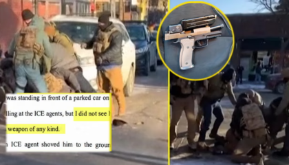 Dalin pamjet e reja, si Alex Pretti u përplas me agjentët federalë 11 ditë para vrasjes