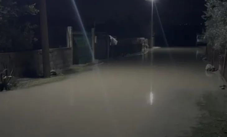 Dalja e Lumit Vjosa nga shtrati përmbyt edhe fshatin Mifol