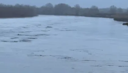 Del nga shtrati Vjosa, rrezik për banesat në zonën e Mifolit