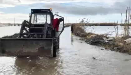 Dëmet fatale nga dalja e Vjosës nga shtrati/ Fermerët: Kemi falimentuar, kërkojmë dëmshpërblim nga shteti