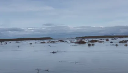 Deti i ‘turret’ Karavastasë/ Stuhia çan argjinaturën, zhduket bregu nga dallgët tre metra të larta