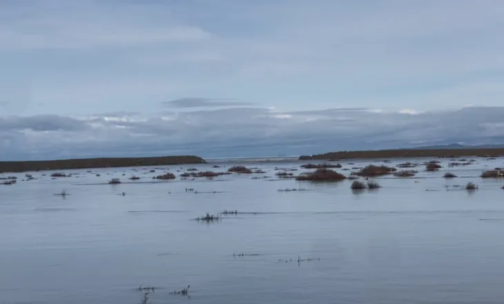 Deti i ‘turret’ Karavastasë/ Stuhia çan argjinaturën, zhduket bregu nga dallgët tre metra të larta