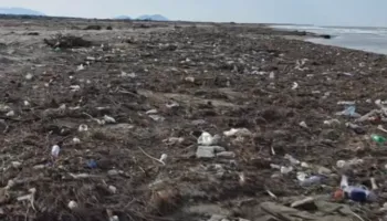 Deti kthen mbrapsht plehrat, Darëzeza dhe Semani përballen me ndotje masive