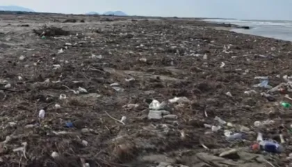 Deti kthen mbrapsht plehrat, Darëzeza dhe Semani përballen me ndotje masive