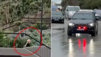 Dhëndri dhe vajza e Trump në Vlorë