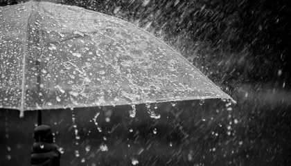 Dita e sotme me reshje shiu në të gjithë territorin, borë në verilindje dhe juglindje të vendit