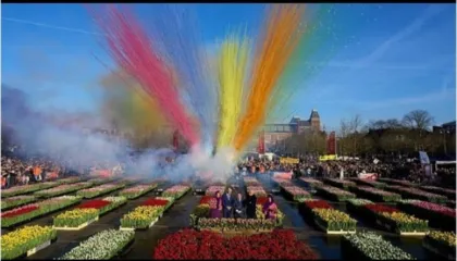 Dita Kombëtare e Tulipanëve në Holandë: 200,000 tulipanë u shpërndanë në Amsterdam