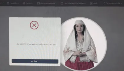 Dobësitë teknike që shembën e-albania, ‘ekspertët’ e tenderëve të dyshimtë heqin dorë