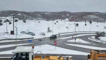 E bllokuar prej dy orësh, nis qarkullimi normal i kamionëve në pikën kufitare të Qafë Thanës