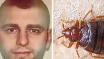 E PAZAKONTË/ Pezullohet gjyqi për Franc Çopjan në Bruksel, shkak bëhen morrat!