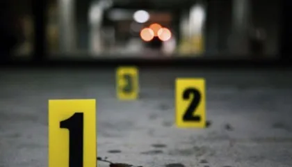 E rëndë, vrau gruan e sëmurë, burri më pas i jep fund jetës së tij