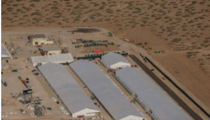 E vranë? I burgosuri kuban vdiq në paraburgim në qendrën e emigrantëve