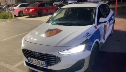 EMRI/ Aksion në Roskovec, gjenden armë dhe granata, prangoset pronari i tyre