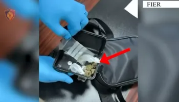 EMRI/ Fier, arrestohet 31 vjeçari, për prodhim dhe shitje të lëndëve narkotike