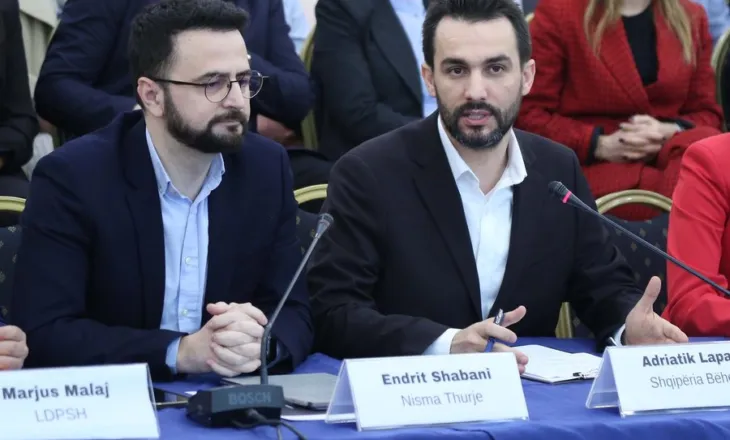 Endri Shabani dërgon vëzhgues në protestën e Adriatik Lapajt