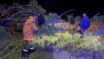 Era e fortë bllokon rrugën drejt Zvërnecit, bien pishat