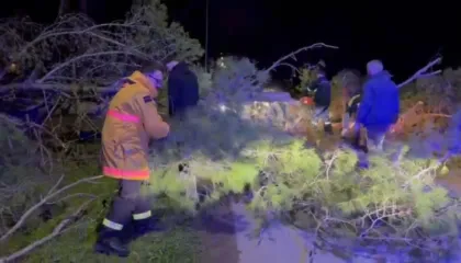 Era e fortë bllokon rrugën drejt Zvërnecit, bien pishat