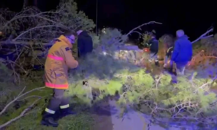 Era e fortë bllokon rrugën drejt Zvërnecit, bien pishat