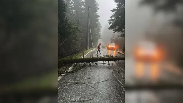 Era e fortë rrëzon disa pemë dhe bllokon rrugën e Llogarasë