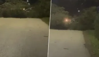 Era e fortë rrëzon pemët, bllokohet qarkullimi në rrugën Vlorë-Zvërnec