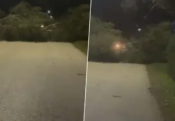 Era e fortë rrëzon pemët, bllokohet qarkullimi në rrugën Vlorë-Zvërnec