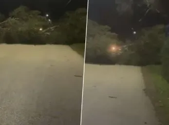 Era e fortë rrëzon pemët, bllokohet qarkullimi në rrugën Vlorë-Zvërnec