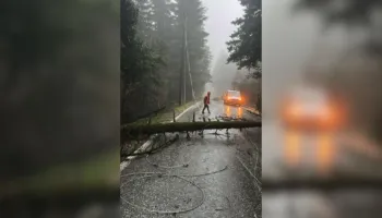 Era e fortë rrëzon pemët dhe bllokon rrugën e Llogarasë, dëmtohen edhe linjat elektrike