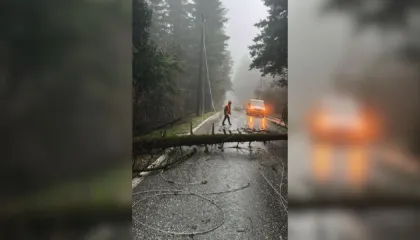 Era e fortë rrëzon pemët dhe bllokon rrugën e Llogarasë, dëmtohen edhe linjat elektrike