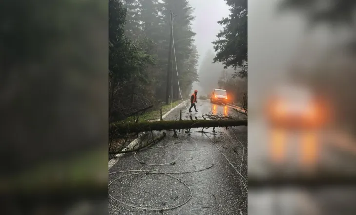 Era e fortë rrëzon pemët dhe bllokon rrugën e Llogarasë, dëmtohen edhe linjat elektrike