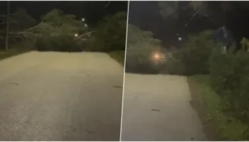 Era e fortë rrëzon pishat në rrugën Vlorë-Zvërnec, bllokohet qarkullimi për automjetet, ndërhyjnë forcat zjarrfikëse