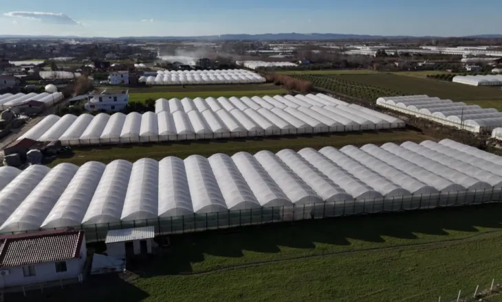 Fermerët e serave në krizë/ Përmbytjet u shkatërruan të mbjellat, nuk kanë me çfarë të lajnë kredin
