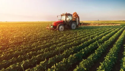 Fermerët përfitojnë 10% TVSH mbrapsht, ja procedura që duhet ndjekur