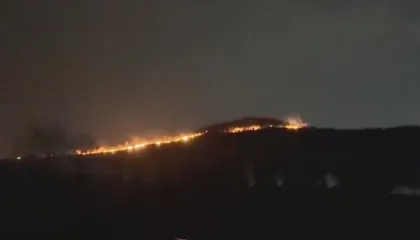 Flakë pranë bazës së Pashalimanit, era e fortë përhap zjarrin në Orikum