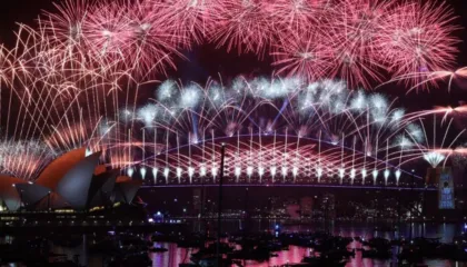 FOTOLAJM/ “Festime dhe spektakël fishekzjarresh”, ja si e priti bota Vitin e Ri 2026