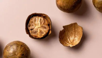 Fruti i Murgut, përfitimet e shumta në gatim dhe mjekësinë tradicionale