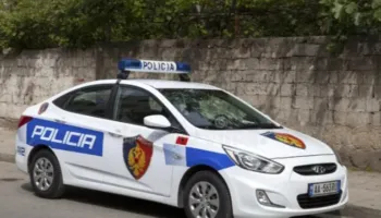 Fshehu farat e kanabisit në lokalin e tij, arrestohet 70-vjeçari në Vaun e Dejës
