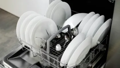 Gabimi që bëjnë shumica me lavastoviljen, ja mënyra e duhur