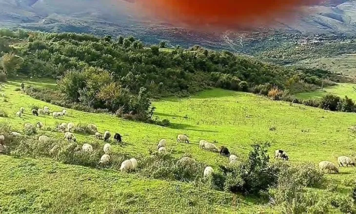 Gjendet i pajetë në një stan 56-vjeçari në Dhëmblan të Tepelenës