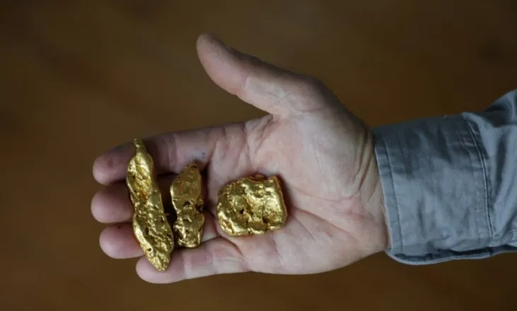 Gjenerata e re e gjuetarëve të arit: Detektorët e metaleve shiten për shkak të çmimeve rekord