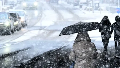 Gjermania përfshihet nga stuhia e akullit! Mbyllen shkollat, anulohen fluturimet dhe paralizohet transporti hekurudhor