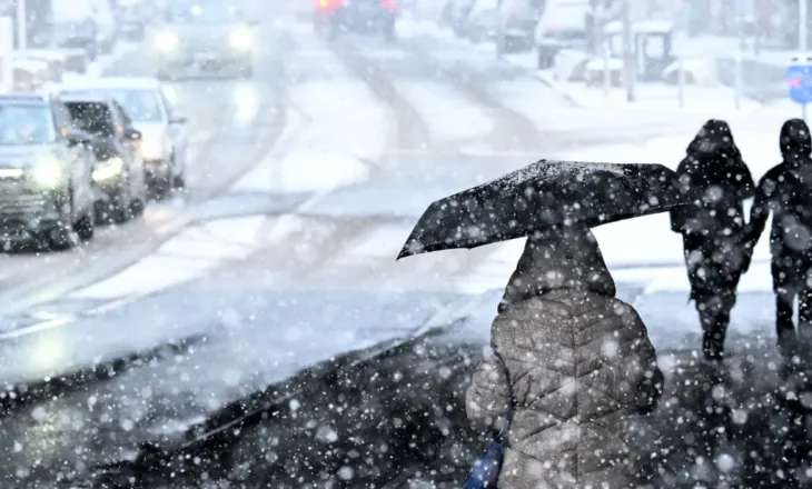 Gjermania përfshihet nga stuhia e akullit! Mbyllen shkollat, anulohen fluturimet dhe paralizohet transporti hekurudhor