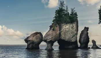 Gjiri i Fundy-t/ Zona ku baticat më të larta në botë zbulojnë ishuj, balena dhe fosile 300 milionë vjeçare