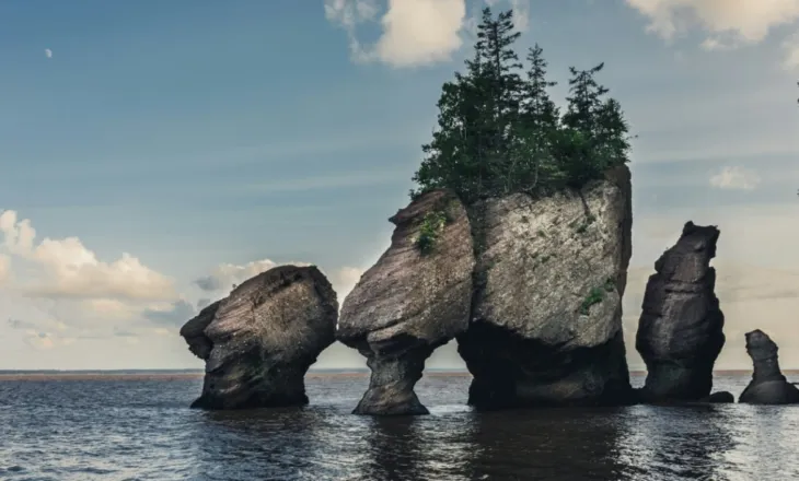 Gjiri i Fundy-t/ Zona ku baticat më të larta në botë zbulojnë ishuj, balena dhe fosile 300 milionë vjeçare