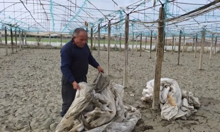 “Gjithçka u shkatërrua”/ Banorët e Arapajt në Roskovec pas përmbytjeve: Dy herë nën ujë brenda 15 ditësh