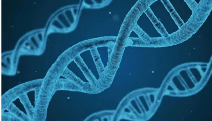Google prezanton AlphaGenome/ IA që mund të parashikojë ndryshimet e ADN-së
